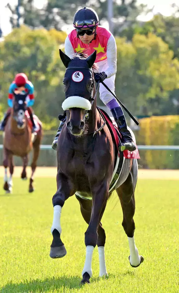 「【注目馬動向】重賞２勝馬で金鯱賞４着ジューンテイクは香港のクイーンエリザベス２世Ｃへ」の画像
