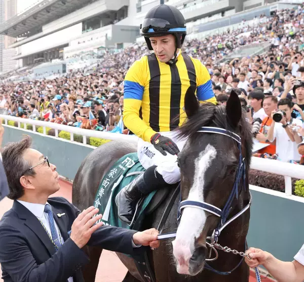 香港・クイーンエリザベス２世Ｃ２着のマスカレードボールが帰国　手塚貴久調教師「十分やれるなと思いました」