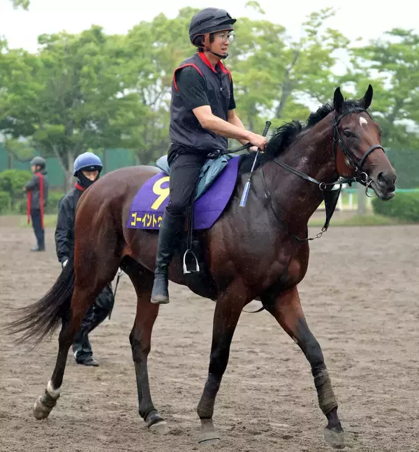 【注目馬動向】日本ダービー４着の青葉賞馬ゴーイントゥスカイは引き続き武豊騎手とのコンビで新潟記念へ