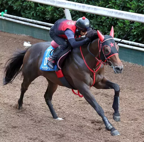 【セントウルＳ】フリッカージャブが３連勝でサマースプリントシリーズ逆転優勝へ　西園調教師「引き続きチャンスだと思う」