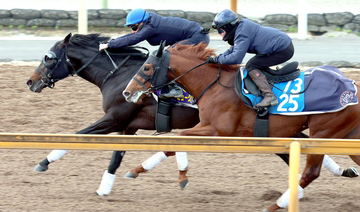 【有馬記念１週前】ミュージアムマイルが一番時計で絶好の動き　Ｃデムーロ騎手「この時計でも余裕があったよ」