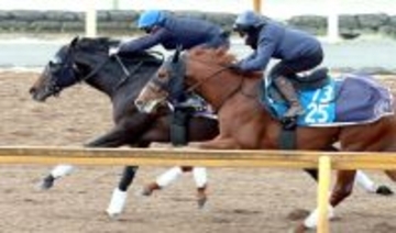 【有馬記念１週前】ミュージアムマイルが１番時計で絶好の動き　クリスチャン・デムーロ騎手「この時計でも余裕があったよ」