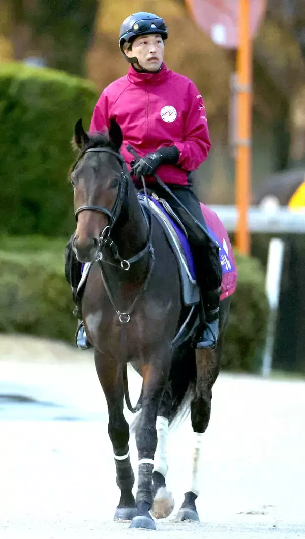 【ホープフルＳ】前走アイビーＳで連勝したアンドゥーリルは６枠１２番　札幌２歳Ｓ勝ちショウナンガルフは７枠１３番