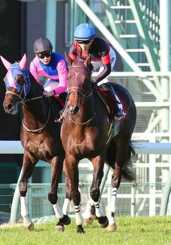 【報知杯弥生賞】ライヒスアドラーは２着で皐月賞切符　佐々木大輔騎手「思ったよりゲートを…」