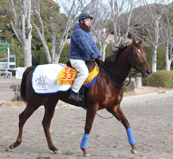 「【兵庫女王盃】「おおきに」園田でもルメール騎手！メモリアカフェを復活Ｖへ導く「中央競馬でもいい結果を出すことができる」」の画像
