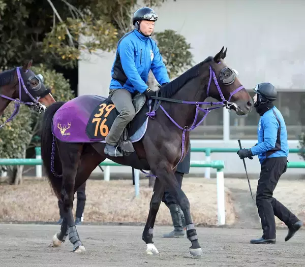 「【注目馬動向】２５年天皇賞・秋勝ち馬マスカレードボールの半弟アナザーフェイス　次走は４月２６日東京競馬の未勝利戦へ」の画像