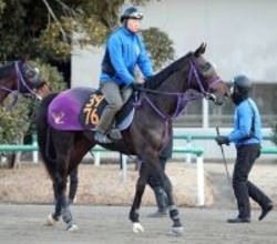 【注目馬動向】２５年天皇賞・秋勝ち馬マスカレードボールの半弟アナザーフェイス　次走は４月２６日東京競馬の未勝利戦へ