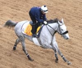 【福島牝馬Ｓ】ゴールドシップの娘がレコード　コガネノソラが重賞２勝目　菊沢一樹騎手は６年９か月ぶりの重賞タイトル
