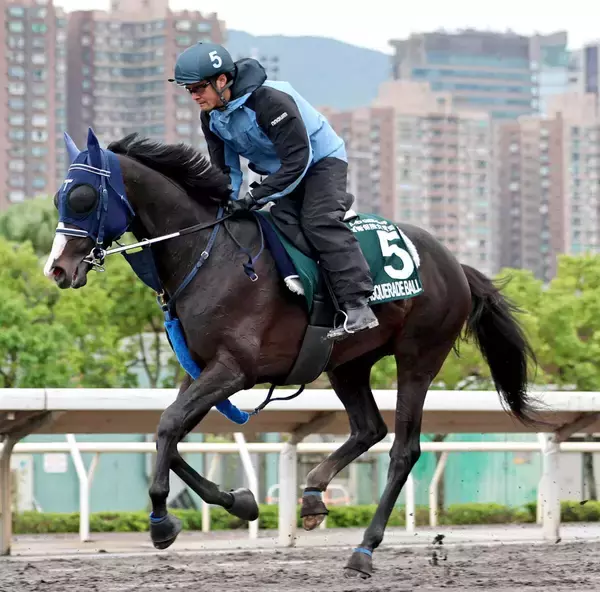 【ＱＥ２世Ｃ】最後方追走のマスカレードボール惜敗２着に手塚久調教師「あわよくば差し切ってほしいと...」　日本勢３頭は勝利を飾れず　