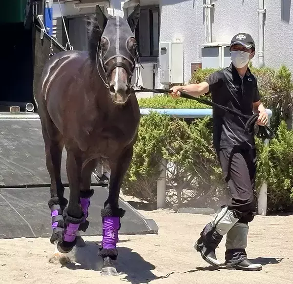 【日本ダービー・土曜気配】セレクト５・９億円馬エムズビギンは大外枠にも陣営「得意な枠かもしれないので期待」