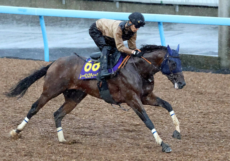 【注目馬動向】レーベンスティール、シックスペンス、シュトラウスがジャックルマロワ賞に登録を予定　９８年にタイキシャトルが制覇