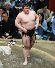 義ノ富士が新三役となる新小結　熊本出身では１７年初場所の正代以来、戦後９人目…名古屋場所番付発表