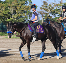 【新潟記念】ジャパンＣを出走取消　２３年の菊花賞馬ドゥレッツァが約１１か月ぶりの実戦へ　尾関調教師は「まだ休み明けという感じですが…」