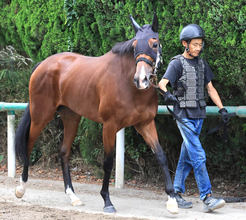 【紫苑Ｓ】母子制覇狙うジワタネホ　陣営は「オーナーもぜひ行きたいと」馬主は母ビッシュも所有した窪田芳郎氏