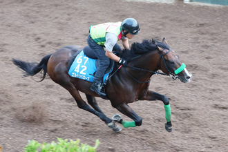 【毎日王冠・理貴の特注馬】４年連続出走のリピーター・エルトンバローズが３年ぶりＶへ　別定戦で魅力十分