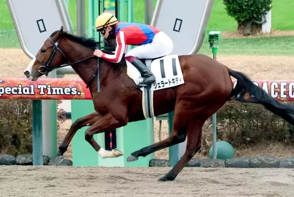 【中山６Ｒ・２歳新馬】ジェラートキティが軽快に逃げ切る　舟山瑠泉騎手「完勝だったかなと思います」