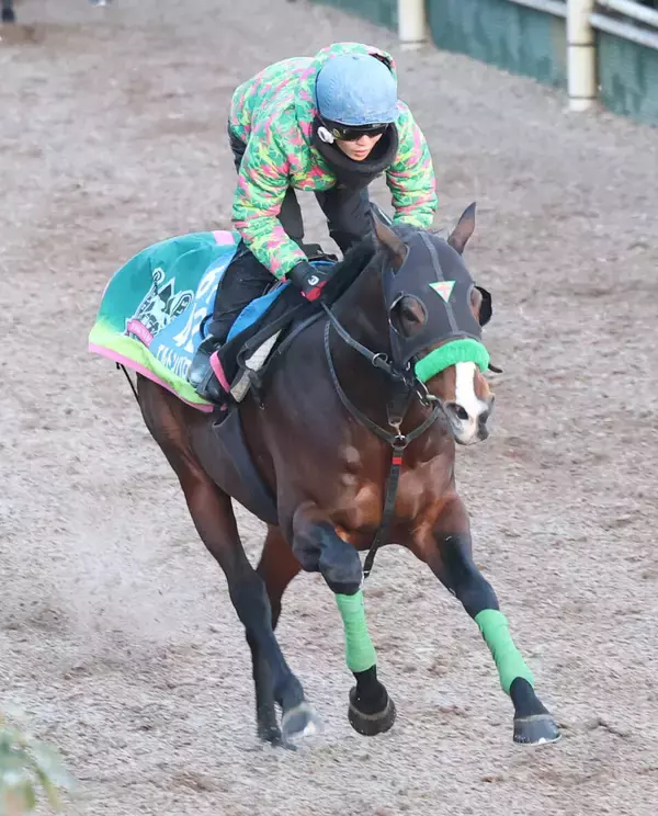 【注目馬動向】エルトンバローズがフェブラリーＳを回避　西村淳也騎手で読売マイラーズＣへ