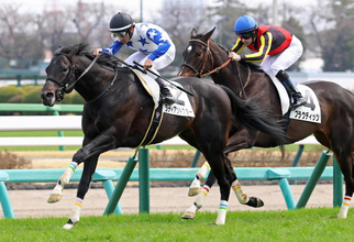 【注目馬動向】姉が現役重賞勝ち馬の良血ラディアントスター　プリンシパルＳか京都新聞杯へ