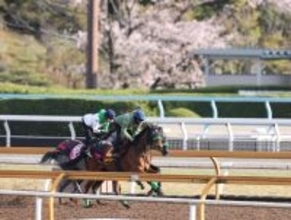 【桜花賞】馬トク外厩情報…阪神ジュベナイルフィリーズ組の強さ証明　春の結果が示す“世代上位の１頭”