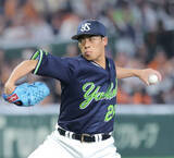 「【ＮＰＢ今日の見どころ】 ヤクルト・山野は４戦４勝ならチーム１１年ぶり」の画像1