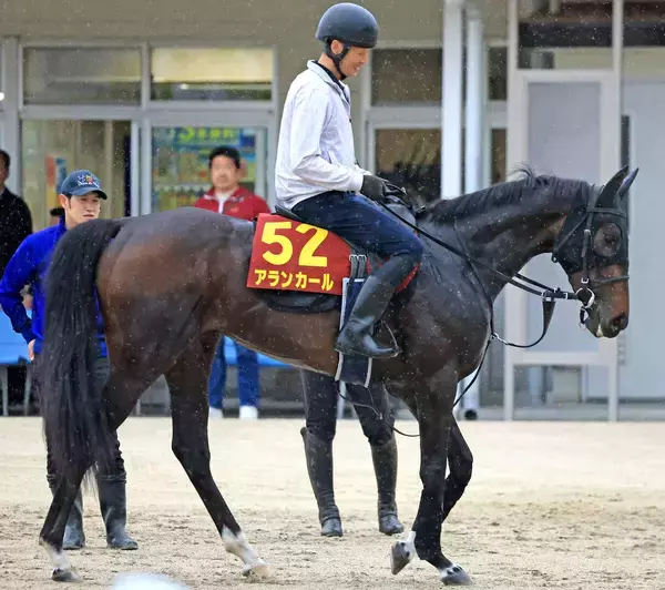 【オークス】武豊騎手のアランカールは８着「直線は瞬発力の差が出た」母シンハライトと同じ馬番から母子制覇狙うもかなわず