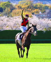 クロワデュノールに大口購入が続出？　単勝オッズが１頭だけ一桁台と豪華メンバーで“異常”な支持　