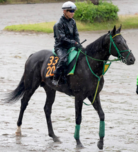 【ラジオＮＩＫＫＥＩ賞】斎藤誠調教師「控える競馬をしたい」　ジーネキングが重賞初制覇へ好気配