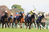 「【キングジョージ】出走予定馬は１４頭　日本勢２頭に昨年ジャパンＣ覇者カランダガンや凱旋門賞２着ミニーホークも」の画像1