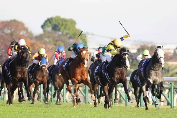 【キングジョージ】出走予定馬は１４頭　日本勢２頭に昨年ジャパンＣ覇者カランダガンや凱旋門賞２着ミニーホークも