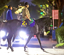 【菊花賞】「人馬一体」杉山晴紀調教師×松山弘平騎手×ロブチェン ３冠へ死角なし