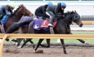 【阪神ＪＦ・１週前】無傷２連勝中のアランカールは抜群の伸び　北村友一騎手「休み明けを感じさせない動きでした」