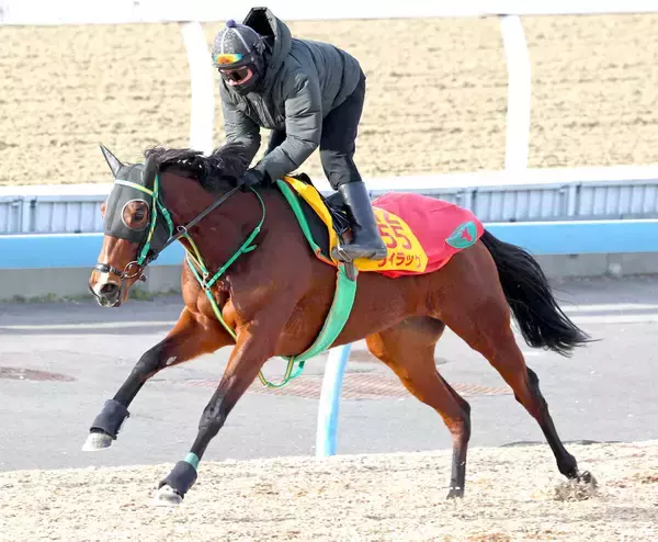 日曜京都競馬場の注目激走馬…京都１１Ｒ日経新春杯・Ｇ２