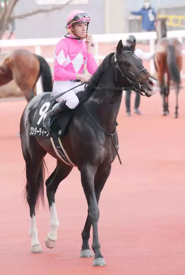 【ＵＡＥダービー】ワンダーディーンが招待を受諾　日本馬５連覇を目指す