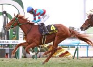 【エルフィンＳ】１番人気スウィートハピネスでＶの高杉「能力を発揮しやすい舞台」　桜直行本線で調整へ