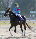 「【フェブラリーＳ】初の牝馬Ｖ狙ったダブルハートボンドは３着　坂井瑠星騎手「初めての芝スタートでうまく進まず...」」の画像1