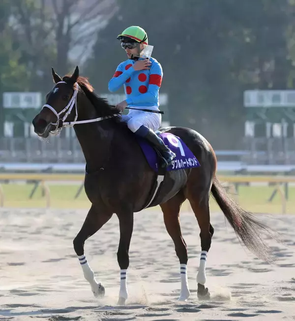 【フェブラリーＳ】初の牝馬Ｖ狙ったダブルハートボンドは３着　坂井瑠星騎手「初めての芝スタートでうまく進まず...」