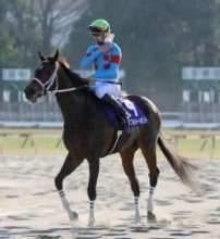 【フェブラリーＳ】初の牝馬Ｖ狙ったダブルハートボンドは３着　坂井瑠星騎手「初めての芝スタートでうまく進まず...」