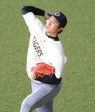 「【阪神】才木浩人＆伏見寅威のバッテリー、前川が「５番・一塁」で先発出場…韓国代表戦スタメン発表」の画像1