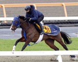 土曜中山競馬場の注目激走馬…中山１１Ｒ中山牝馬ステークス・Ｇ３