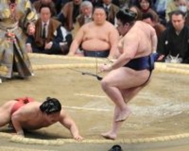 豪ノ山が９勝目　同じ大阪出身で同学年の朝紅龍に勝ち、１敗で首位守る