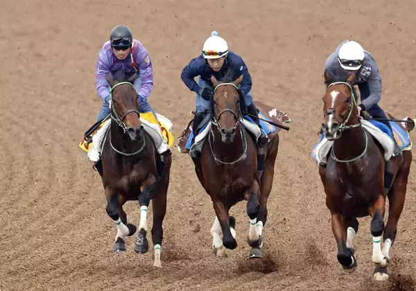 【福島牝馬Ｓ】重賞初挑戦ジョイフルニュースが３頭併せで抜群の動き　大竹調教師「やれることはやった」