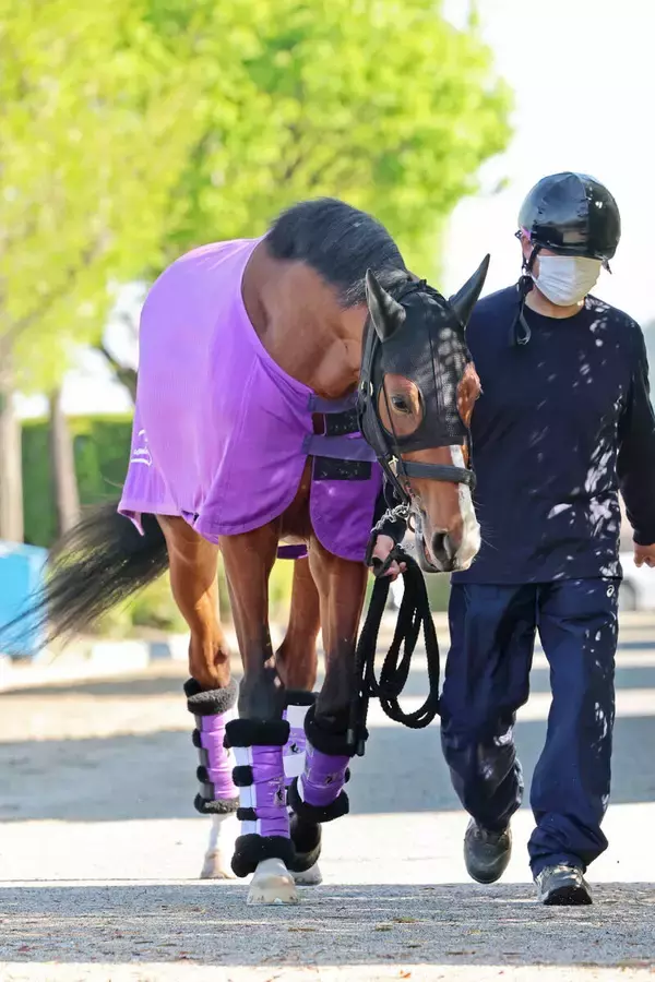 【皐月賞】友道厩舎のアドマイヤクワッズは８枠１７番　陣営「うちはアンライバルドがピンク帽で勝ってますので…」