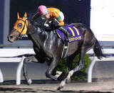 「【高知競馬・黒潮皐月賞】重賞２連勝中＆オール連対のカツテナイオイシサ　大恵陽子のイチオシ」の画像1