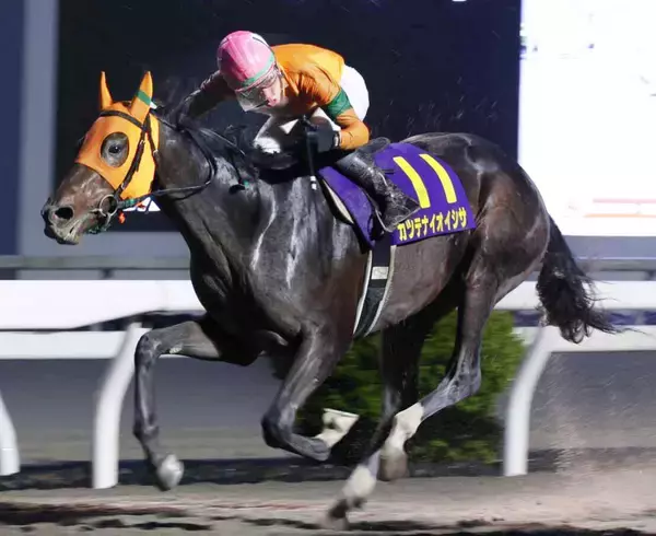 【高知競馬・黒潮皐月賞】重賞２連勝中＆オール連対のカツテナイオイシサ　大恵陽子のイチオシ
