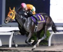 【高知競馬・黒潮皐月賞】重賞２連勝中＆オール連対のカツテナイオイシサ　大恵陽子のイチオシ