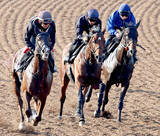 「【日本ダービー・２週前】上原佑厩舎勢が豪華併せ馬　皐月賞３着＆７着馬に青葉賞Ｖ馬が大一番に向け軽快な動き披露」の画像1