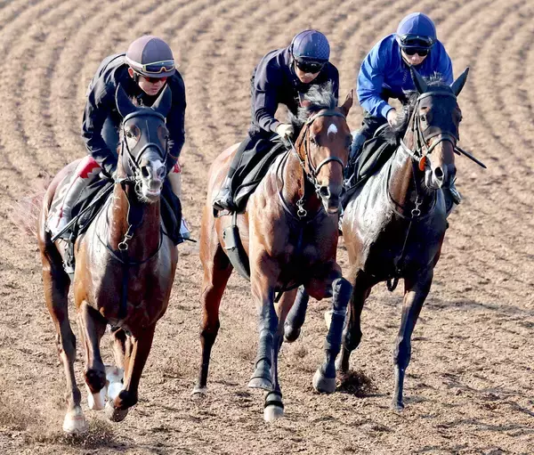 【日本ダービー・２週前】上原佑厩舎勢が豪華併せ馬　皐月賞３着＆７着馬に青葉賞Ｖ馬が大一番に向け軽快な動き披露