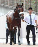 「【注目馬動向】アーモンドアイの初子アロンズロッドはダービーデーの青嵐賞へ　鞍上は引き続きルメール騎手　」の画像1