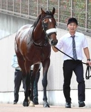 【注目馬動向】アーモンドアイの初子アロンズロッドはダービーデーの青嵐賞へ　鞍上は引き続きルメール騎手　