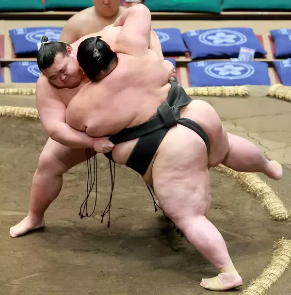 東海大柔道部出身・岡田、体重２１０キロの三段目力士を投げて初白星「でかくて、重かったです」